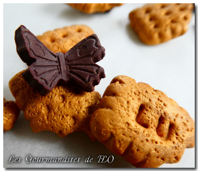 biscuit papillon choco 2
