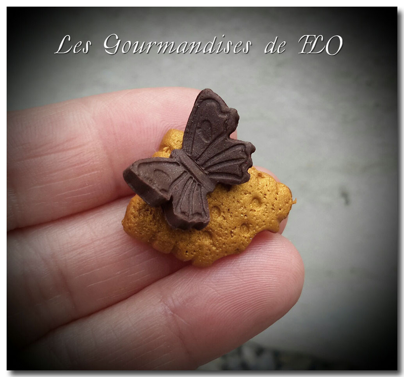 biscuit papillon choco 1