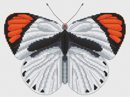 gratuites croix papillons insectes